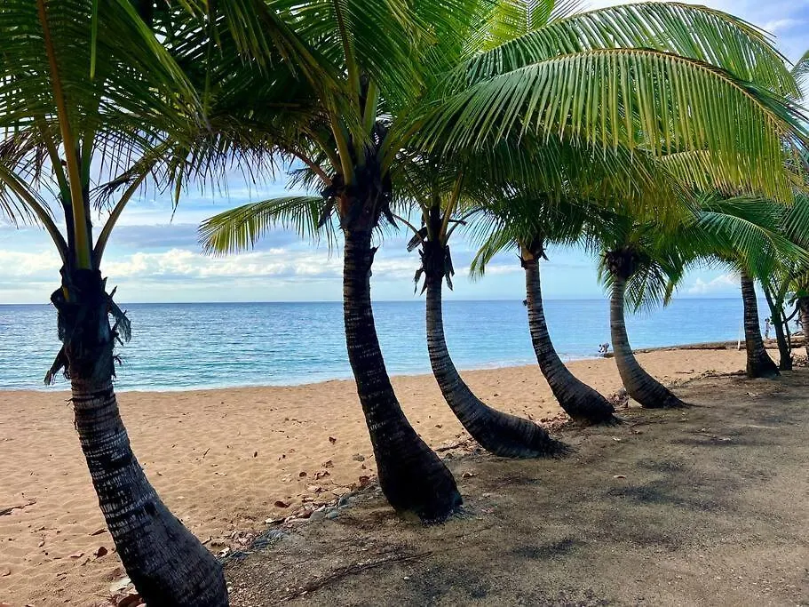 Tropical Heaven 3Br Apart On Vega Baja Beach