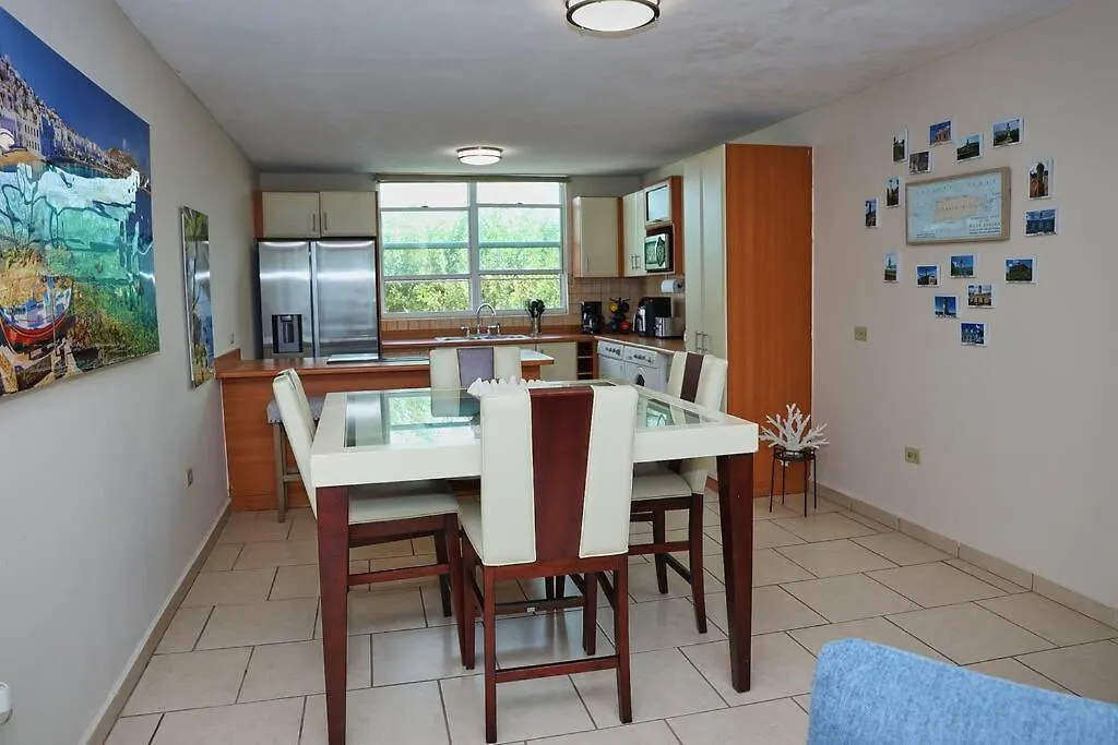 Tropical Heaven 3Br Apart On Vega Baja Beach Appartement